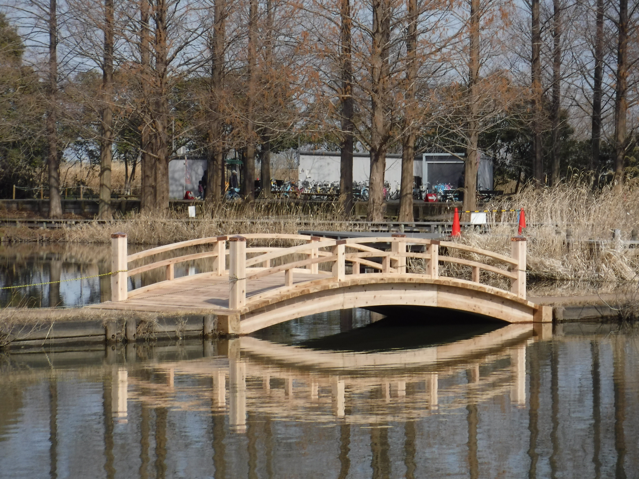 木製ダイコ橋